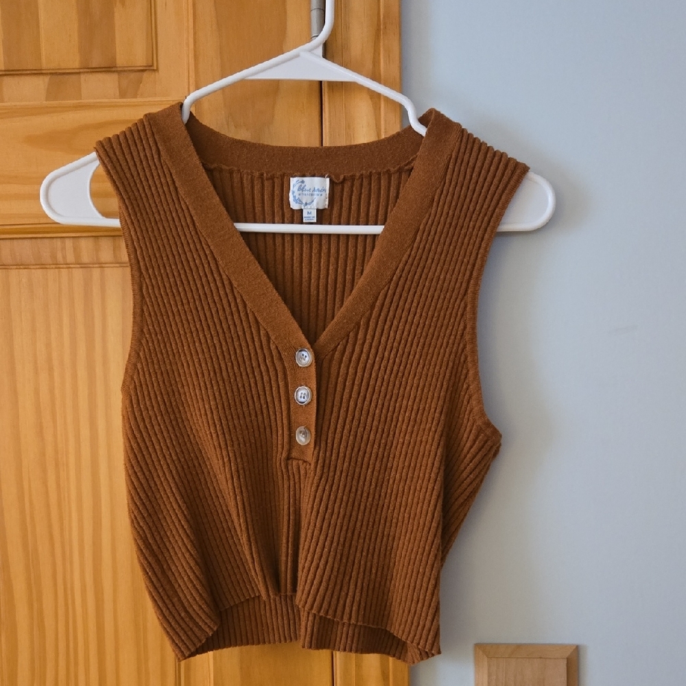 Blue Rain Ribbed Knit Crop Top in Brown